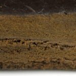 Hash – Healing Tree - Image 2