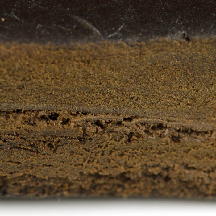 Hash – Healing Tree - Image 2