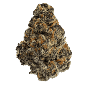 Cannabis Dispensary & Online Store in United States