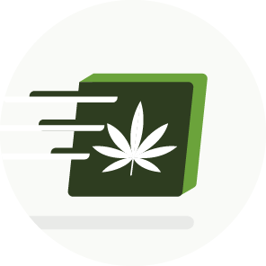 Cannabis Dispensary & Online Store in United States