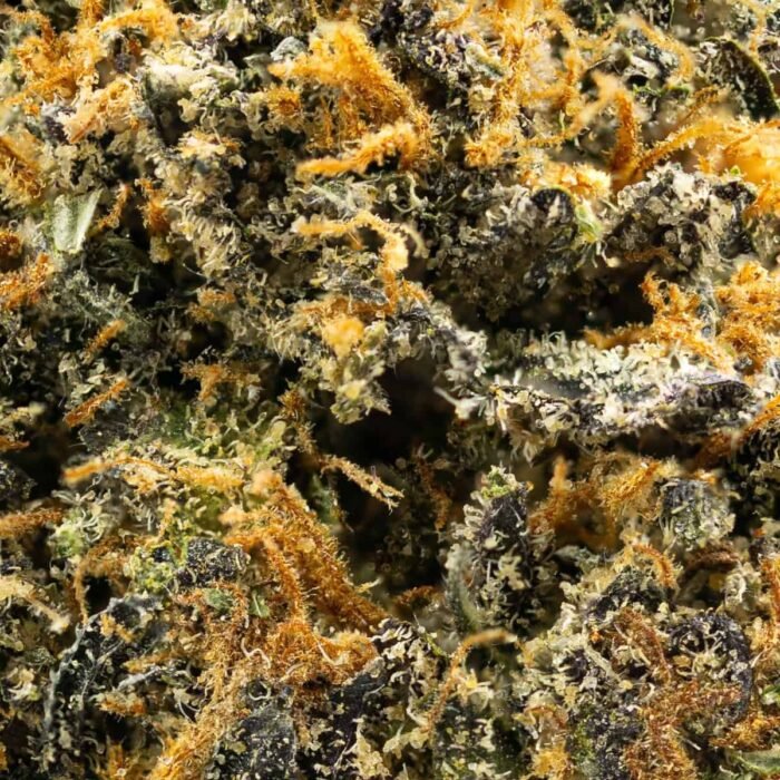 Lemon Cherry Gelato - Image 2