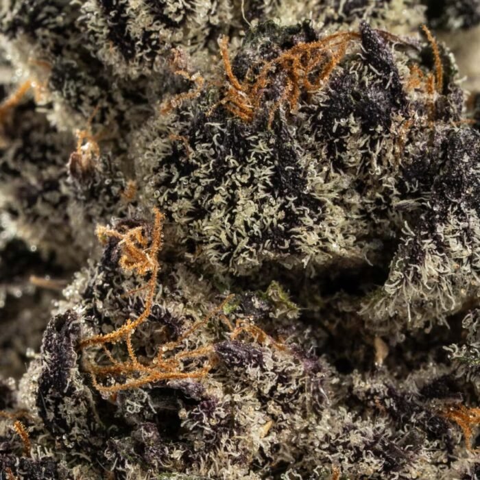 PAYTON COOKIES - Image 3