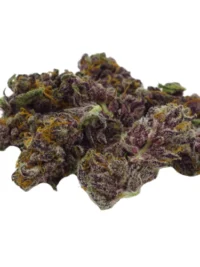 Buy Alien Cookies hybrid strain online USA – discreet shipping | Ghost Farms Official