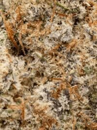 Ghost Farms Official Premium Cannabis Products – Buy Weed Online USA Discreet Delivery