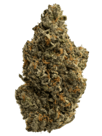 Buy Biscotti Sherbet indica strain online USA – discreet shipping | Ghost Farms Official