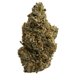 Biscotti Sherbet Hybrid Cannabis Flower – Buy Weed Online USA Ghost Farms
