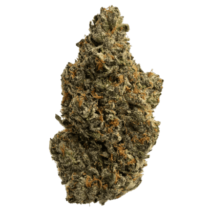 Buy Biscotti Sherbet indica strain online USA – discreet shipping | Ghost Farms Official