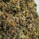 Ghost Farms Official – Buy Premium Cannabis Online USA Discreet Delivery