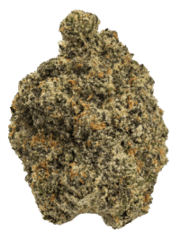 Buy Black Scotti indica strain online USA – discreet shipping | Ghost Farms Official