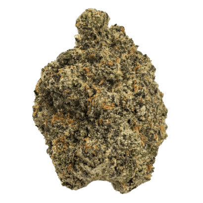 Buy Black Scotti indica strain online USA – discreet shipping | Ghost Farms Official