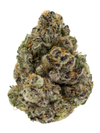 Buy Blueberry Muffin hybrid strain online USA – discreet shipping | Ghost Farms Official