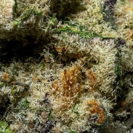 Ghost Farms Official – Buy Premium Cannabis Online USA Discreet Delivery