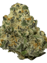Buy Cadillac Rainbow hybrid strain online USA – discreet shipping | Ghost Farms Official