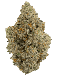 Cap Junky 25.7% THC Cannabis Pre-Roll – Buy Weed Online USA Ghost Farms