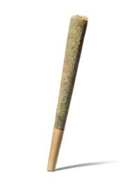 Buy Slurp Juice Pre-Roll cannabis pre-roll joints online USA – discreet shipping | Ghost Farms Official