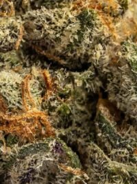 Ghost Farms Official – Buy Premium Cannabis Online USA Discreet Delivery