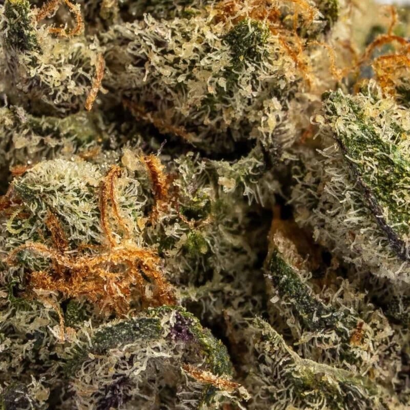 Ghost Farms Official &ndash; Buy Premium Cannabis Online USA Discreet Delivery