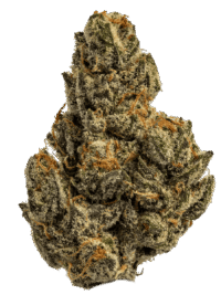 Buy Creme Brulee indica strain online USA – discreet shipping | Ghost Farms Official