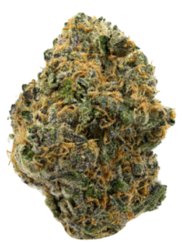 Buy Divine Banana sativa strain online USA – discreet shipping | Ghost Farms Official