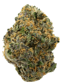 Buy Divine Banana Premium sativa strain online USA – discreet shipping | Ghost Farms Official