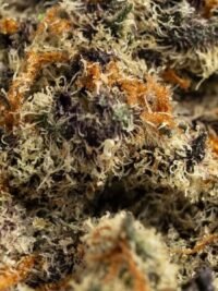Ghost Farms Official – Buy Premium Cannabis Online USA Discreet Delivery