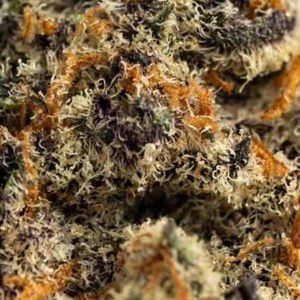 Ghost Farms Official – Buy Premium Cannabis Online USA Discreet Delivery