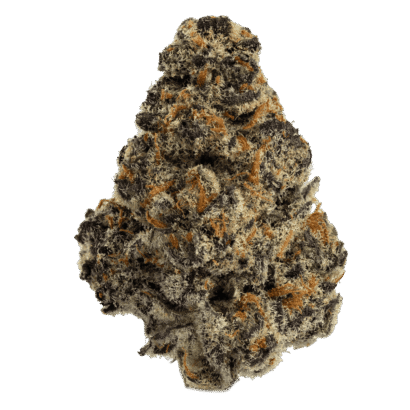 Buy El Chivo hybrid strain online USA – discreet shipping | Ghost Farms Official
