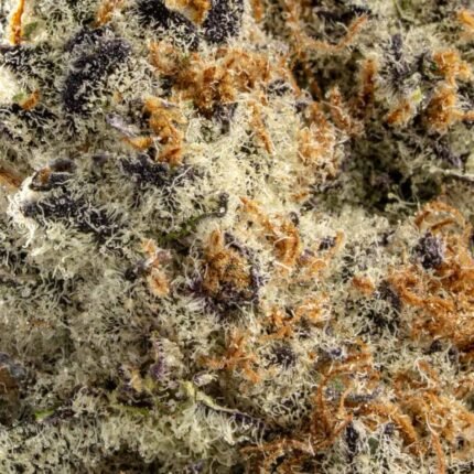 Ghost Farms Official – Buy Premium Cannabis Online USA Discreet Delivery