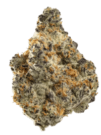 Buy Frozen Dream sativa strain online USA – discreet shipping | Ghost Farms Official