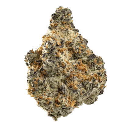 Buy Frozen Dream sativa strain online USA – discreet shipping | Ghost Farms Official