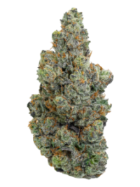 Gary Payton All-In-One Cannabis Vape 2000MG – Buy Online USA Ghost Farms