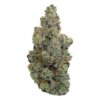 Buy Gary Payton hybrid strain online USA – discreet shipping | Ghost Farms Official