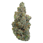 Buy Gary Payton hybrid strain online USA – discreet shipping | Ghost Farms Official