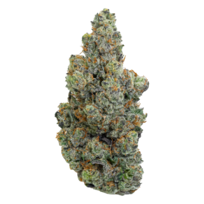 Buy Gary Payton hybrid strain online USA – discreet shipping | Ghost Farms Official