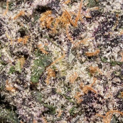 Ghost Farms Official – Buy Premium Cannabis Online USA Discreet Delivery