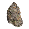 Buy Gary Payton x Runtz hybrid strain online USA – discreet shipping | Ghost Farms Official