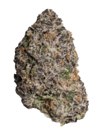 Buy Gary Payton x Runtz hybrid strain online USA – discreet shipping | Ghost Farms Official