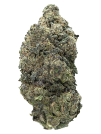 Buy Hash Burger Strain indica strain online USA – discreet shipping | Ghost Farms Official