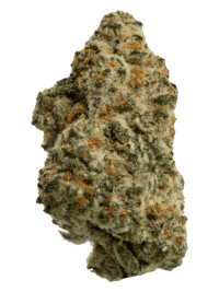Buy Hawaiian Snowcone sativa strain online USA – discreet shipping | Ghost Farms Official