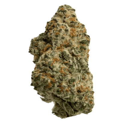 Buy Hawaiian Snowcone sativa strain online USA – discreet shipping | Ghost Farms Official