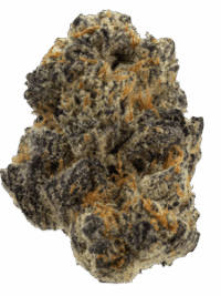 Buy Italian Ice hybrid strain online USA – discreet shipping | Ghost Farms Official