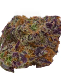 Buy Jenny Kush Weed Strain hybrid strain online USA – discreet shipping | Ghost Farms Official
