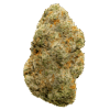 Buy Juicy J hybrid strain online USA – discreet shipping | Ghost Farms Official