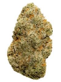 Buy Juicy J hybrid strain online USA – discreet shipping | Ghost Farms Official