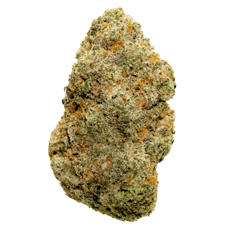 Buy Juicy J hybrid strain online USA – discreet shipping | Ghost Farms Official