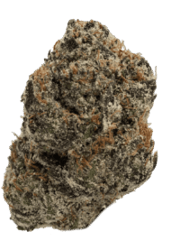 Buy Lemon Cherry Gelato Chronic Guru online USA – 24% THC hybrid | Ghost Farms Official