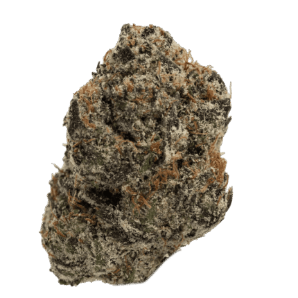 Lemon Cherry Gelato Hybrid Cannabis Flower 24% THC – Buy Weed Online USA