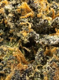 Lemon Cherry Gelato Hybrid 24.24% THC – Buy Premium Weed Online USA