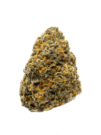 Lemon Cherry Gelato Hybrid 24.24% THC – Buy Premium Weed Online USA