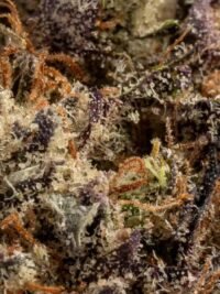 Ghost Farms Official – Buy Premium Cannabis Online USA Discreet Delivery